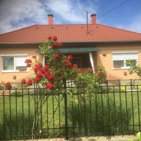 Piroska Vendégház Nyíregyháza Exterior foto